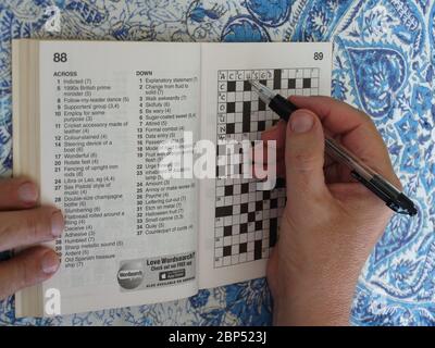 Uomo che completa un puzzle crossword Foto Stock