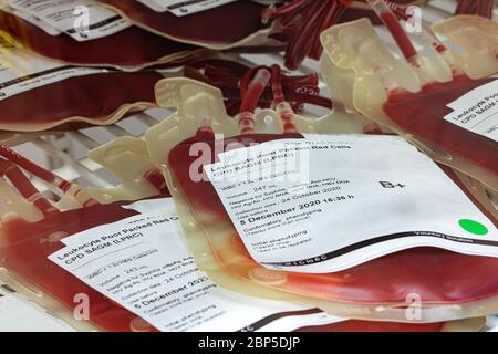 I sacchetti di plastica con il sangue immagazzinato nel deposito Ospedale. Foto Stock
