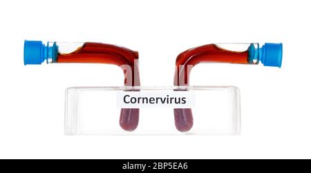 Due provette tornate con etichette di virus ad angolo in rack, isolate su un tavolo bianco. Una ricerca di un virus immaginario in laboratorio. Foto Stock