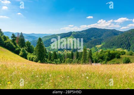 campi di campagna e prati sulle colline in estate. idilliaco paesaggio di montagna in una giornata di sole. paesaggio che si rotola nella cresta distante. weath meraviglioso Foto Stock