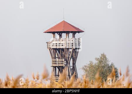 Torre di osservazione per il birdwatching, punto panoramico nel Parco Nazionale di Hortobagy. Ungheria. Europa, patrimonio dell'umanità dell'UNESCO Foto Stock