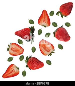 Set di fragole con foglie su sfondo bianco. La frutta di fragola è intera e tagliata a metà. Utile fragole fresche mature ricche di vitamine, prodotto naturale. Illustrazione realistica Foto Stock