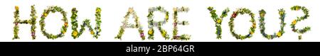 Fiore e lettera di fiore che costruisce la parola come siete Foto Stock