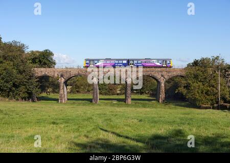 Treno a cremagliera Northern Rail classe 142 che attraversa il viadotto ad arco a Capenwray sulla panoramica linea ferroviaria 'Little North West' nel Lancashire Foto Stock