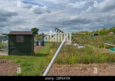 Baschurch allotments in Shropshire UK Foto Stock