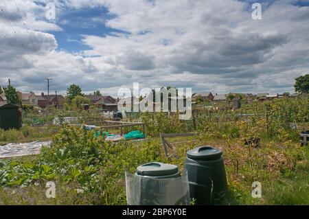 Baschurch allotments in Shropshire UK Foto Stock