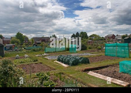 Baschurch allotments in Shropshire UK Foto Stock
