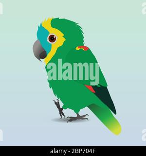 Un disegno vettoriale digitale di un simpatico pappagallo amazzonico con facciata turchese. Sta tenendo una zampa in su Illustrazione Vettoriale
