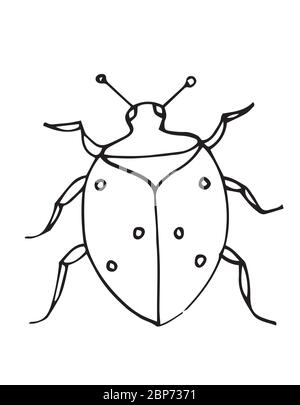 Pagina di libro da colorare con bug, contorni, illustrazioni vettoriali, doodle Illustrazione Vettoriale