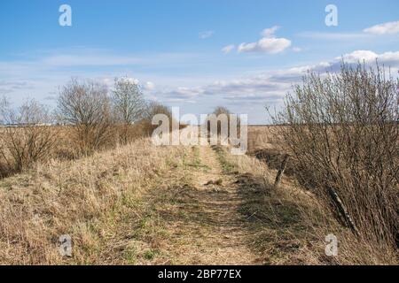 La strada rurale è sopravvolta l'erba dello scorso anno con cespugli di alberi senza foglie su entrambi i lati poggia all'orizzonte all'inizio della primavera Foto Stock