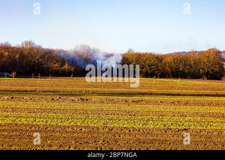 Vista su campi freschissimi vicino a Offham, Kent, UK, VISTA verso i lontani e oppressi nord bassi Foto Stock