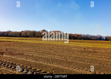 Vista su campi freschissimi vicino a Offham, Kent, UK, VISTA verso i lontani e oppressi nord bassi Foto Stock