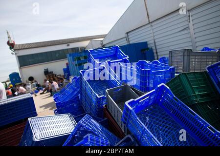 Bornheim, Germania. 18 maggio 2020. Le scatole vuote di asparagi sono accatastate davanti ad una sala della pianta di asparagi Ritter. I lavoratori della società di raccolta protestano contro gli abusi, le retribuzioni e le condizioni di alloggio. I lavoratori del raccolto di un allevamento di asparagi nel distretto di Rhein-Sieg protestano dalla scorsa settimana e hanno temporaneamente smesso di lavorare. Credit: Thomas Banneyer/dpa/Alamy Live News Foto Stock