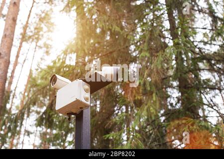 Telecamere nella foresta per il monitoraggio degli animali, sfondo Foto Stock