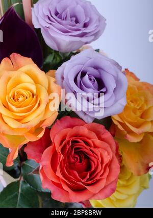 Vari bouquet di fiori. Gerbere rosa e dolce rose lilla close up sfondo floreale. Foto Stock