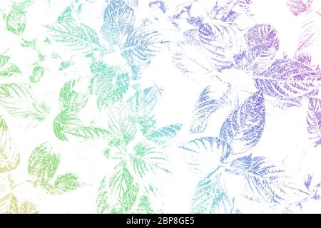 foglie in gradiente vivace con un colore pastello su sfondo bianco. Arte concettuale Foto Stock