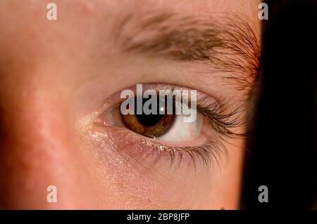 Maschio Occhio Umano Macro Di Un Uomo Di Occhi Blu Guarda Nella Lente Foto Stock Alamy