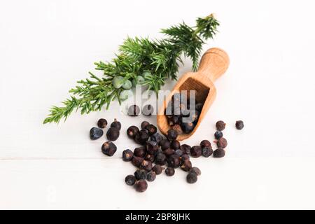 Impianto di ginepro con frutti di bosco Foto Stock