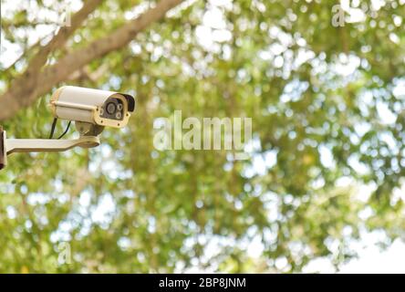 Telecamera a circuito chiuso sullo sfondo verde del bokeh Foto Stock