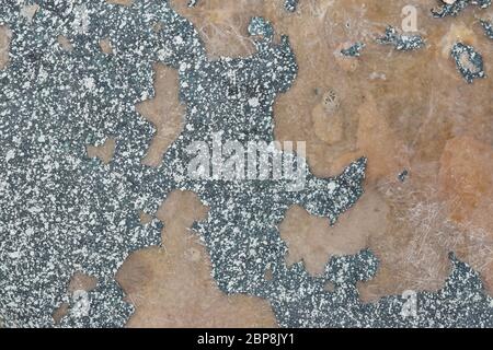 Parete grunge, sfondo testurizzato estremamente dettagliato. Astratto vecchio vintage grunge sfondo risorse grafiche. Foto Stock