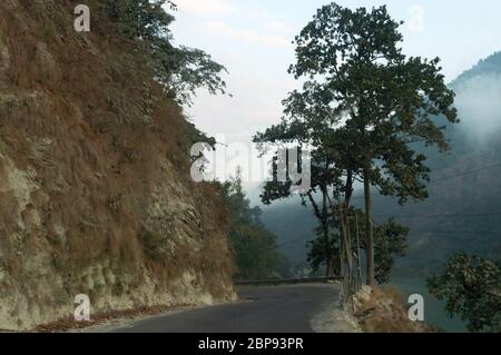 Mystic foggy strada forestale in prima luce solare. Manali a Leh. La strada più pericolosa dell'India e la strada più letale del mondo, la Leh Manali Highway collega le Foto Stock