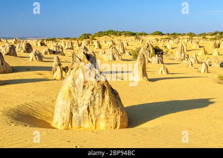 Colonne di pietra calcarea nel Deserto Pinnacles del Nambung National Park - Cervantes, WA, Australia Foto Stock