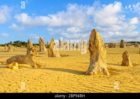 Colonne di pietra calcarea nel Deserto Pinnacles del Nambung National Park - Cervantes, WA, Australia Foto Stock