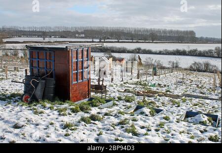 Allotti in neve invernale che domina terreni agricoli a Holt vicino Wrexham Galles Foto Stock