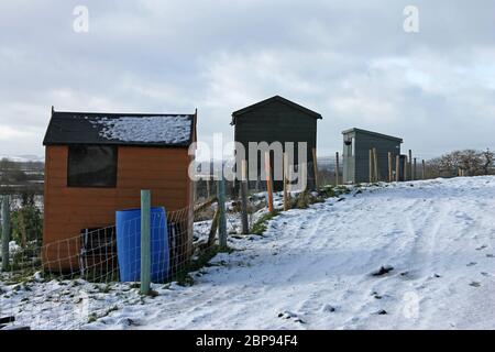 Allotti in neve invernale che domina terreni agricoli a Holt vicino Wrexham Galles Foto Stock