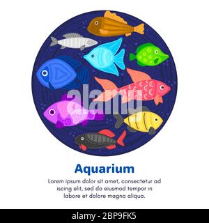 Vettore colorato cartoon pesce in forma circolare. Mondo sottomarino. Acquario. Vita marina carina. Pesci. Brochure, volantino, etichetta, copertina, poster, banner, pac Foto Stock