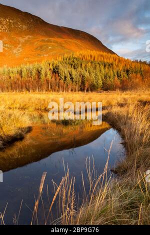 Sunrise, Meall Nam Bo, Kildermorie Estate, Highlands, Scozia Foto Stock