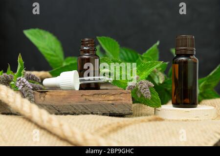 Naturale di menta olio essenziale in una bottiglia di vetro con foglie di menta fresca su sfondo di legno Foto Stock