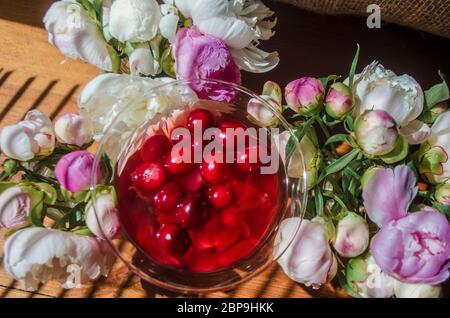 Magia solenne vita morta con bicchiere di bevanda rossa con bacche biologiche autunnali circondate da fiori bianchi nell'ombra diagonale a righe dei ciechi o Foto Stock