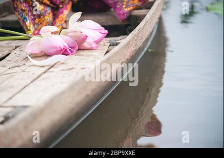 Nelumbo nucifera, fiori di loto su una barca fluviale, Cambogia, Sud-est asiatico Foto Stock