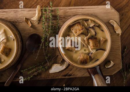 Rustico zuppa di funghi, ceco foresta di funghi freschi raccogliere nei boschi Foto Stock