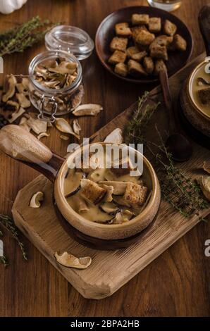 Rustico zuppa di funghi, ceco foresta di funghi freschi raccogliere nei boschi Foto Stock