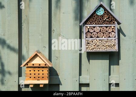 Scatole solitarie di ape su recinto di giardino Foto Stock