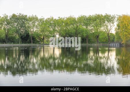 Simmetria del paesaggio, percorso a piedi sul lato dello stagno a Hampstead Heath a Londra Foto Stock