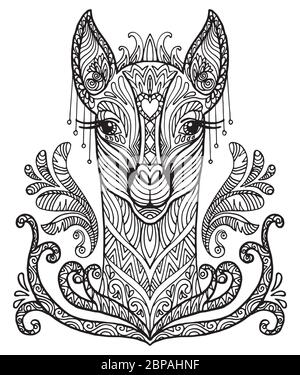 Vettore decorativo doodle testa ornamentale di lama. Illustrazione vettoriale astratta del contorno nero lama isolato su sfondo bianco. Illustrazione del magazzino Illustrazione Vettoriale