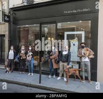 KLEP' S BOUTIQUE PER CANI Foto Stock