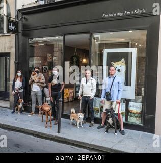 KLEP' S BOUTIQUE PER CANI Foto Stock