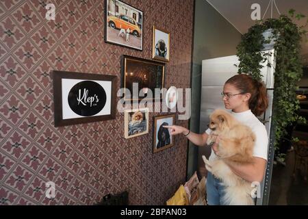 KLEP' S BOUTIQUE PER CANI Foto Stock