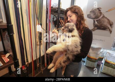 KLEP' S BOUTIQUE PER CANI Foto Stock