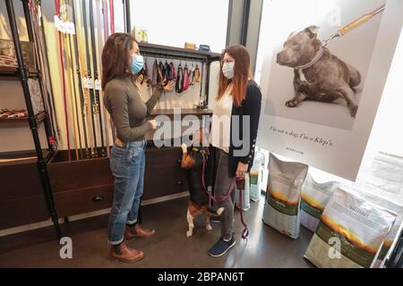 KLEP' S BOUTIQUE PER CANI Foto Stock