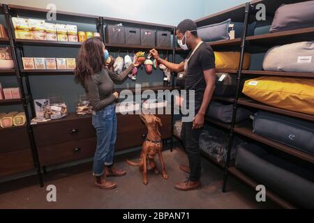 KLEP' S BOUTIQUE PER CANI Foto Stock