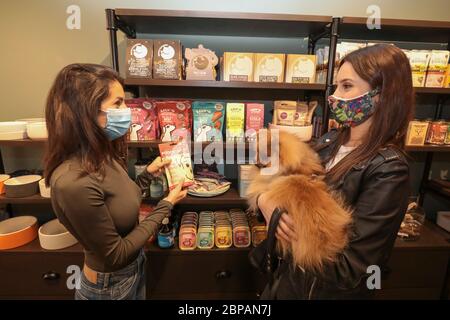 KLEP' S BOUTIQUE PER CANI Foto Stock