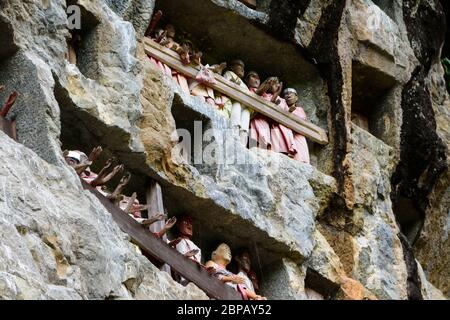 Tombe di roccia con tau ta a Leha, Tana Toraja, Sulawesi, Indonesia. Foto Stock