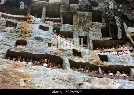 Tombe di roccia con tau ta a Leha, Tana Toraja, Sulawesi, Indonesia. Foto Stock