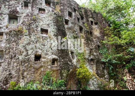 Tombe di roccia con tau ta a Leha, Tana Toraja, Sulawesi, Indonesia. Foto Stock