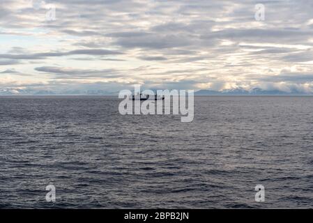 Spedizione in mare Artico, Svalbard. Nave da crociera per passeggeri. Crociera Artica e Antartica. Foto Stock